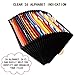 26 Pockets Accordian File Organizer, Letter Size Expandable File Folder/Portable Expanding Filling Box/Paper Accordion Document Coupon Bill Receipt Organizer,A-Z Alphabet Dividers Colored/Blank Tabs