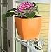 Aquaphoric Self Watering Planter (5”) + Fiber Soil = Foolproof Indoor Home Garden. Decorative Planter Pot for All Plants, Flowers, Herbs, African