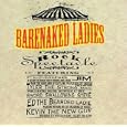Barenaked Ladies If I Had $1000000