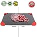Defrosting Tray with Red Silicone Border Thaws Frozen Food Faster The Quicker and Safest Way to Defrost Meat or Frozen Food Quickly : Rapid thaw - Heating Tray Magical pad Melting by PINE KITCHEN CO