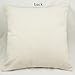 Decorbox Cotton Linen Decorative Throw Pillow Case Cushion Cover (Feathers) 18 