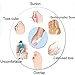 Dr.Pedi Gel Toe Bunion Corrector Separators Hallux Valgus Pro Toe Stretchers Bunion Straightener Alignment (1 pair)