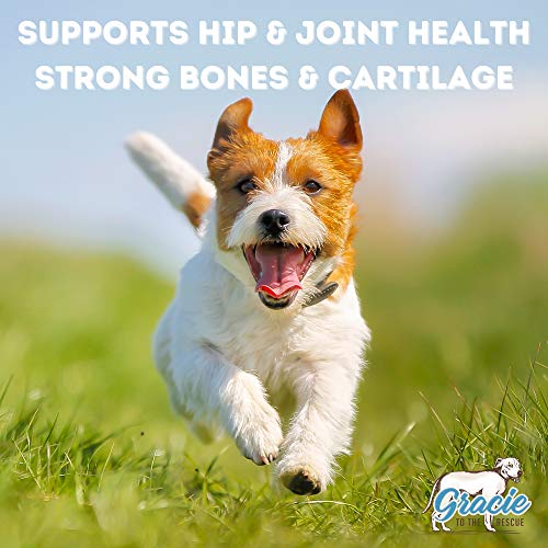 Gracie To The Rescue Liquid Glucosamine for Dogs with Chondroitin, MSM & Hyaluronic Acid Pain