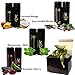 JaZzz Lip Balm Gift Set in 4 Exotic Flavors.(4 pack) Lip Care Treatment contains Hemp Seed Oil, Cocoa Butter & Natural Beeswax to Repair Dry & Chapped lips. Great Gift Ideas for Him or Her - by Suona