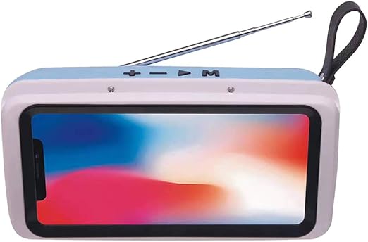 bluetooth speakers for tv amazon