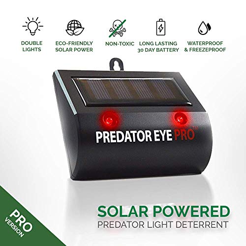 Solar Powered Animal Outdoor Repeller, Animal Light Deterrent Night