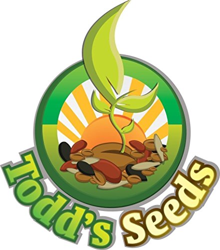 Todd's Seeds, White Sesame Seeds, 3 Pounds