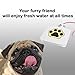 iMounTEK Hygienic Dog/Pet Geyser Water Fountain (41