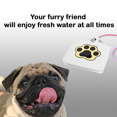 GPCT Hygienic Dog/Pet Geyser Water Fountain/Dispenser