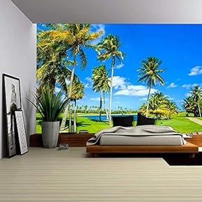 Beautiful Golf Course Landscape in Miami. - Removable Wall Mural | Self-Adhesive Large Wallpaper - 66x96 inches