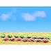 JTT Scenery Products Gardening Plants Cabbages and Lettuces HO Scale Hobby Train Sceneries