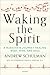 Waking the Spirit: A Musician's Journey Healing Body, Mind, and Soul