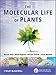 The Molecular Life of Plants