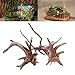 Tfwadmx Aquarium Driftwood Natural Wood Trunk Branch Reptile Driftwood Tree Aquarium Fish Tank Plant Stump Ornament Decor 4 PCSthumb 3