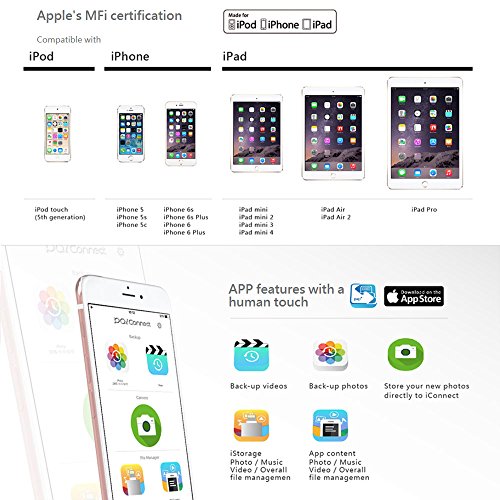 iConnect Mini [Apple MFi] 128 GB Mobile Flash Drive w/ Lightning Connector for iPhones iPads iPod Mac & PC USB 3.0 (Gold)