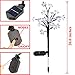 2020 New Upgraded Solar Lights Outdoor, 2 Pack Solar Christmas Lights Solar Garden Lights with 20 LED Flower Lights Solar Stake Lights Waterproof Colored Fairy Landscape Lights for Garden, Yard, Patio