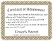 Grace's Secret Women's Long Sleeve T Shirt Casual Striped O Neck Raglan Sleeve Blouse Tops Dark Grey XX-Large