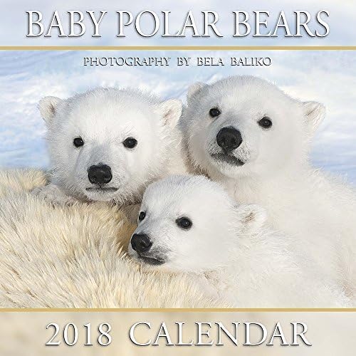 2018 Polar Bear Babies Mini Wall Calendar
