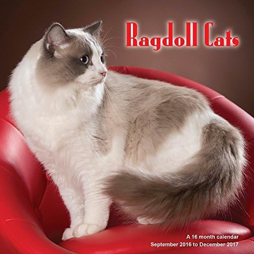 Ragdoll Cats 2017 Wall Calendar