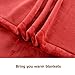 Shilucheng Luxury Fleece Blanket Super Soft and Warm Fuzzy Plush Lightweight King Couch Bed Blankets - Burgundy