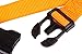 GOGO Pet Products 3/4-Inch Martingale Dog Collar, Medium, Orange
