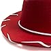 Costume Hat - Cowboy Hat - Cowboy Costume - Cowgirl Hats w/Paisley Bandana by Funny Party Hats