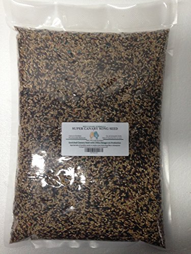 Canary Song Seed 5lb-Improve singing