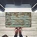 ZBLX Rustic Old Barn Wood Door Mats Indoor Bathroom Kitchen Decor Rug Mat Welcome Doormat - 18x 30 …45cmx75cm,