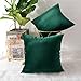 MERNETTE New Year/Christmas Decorations Velvet Soft Decorative Square Throw Pillow Cover Cushion Covers Pillowcase, Home Decor for Party/Xmas 20x20 Inch/50x50 cm, Dark Green, Set of 2