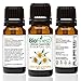 Biofinest German Chamomile Essential Oil - 100% Pure Undiluted, Premium Organic Therapeutic Grade - Best for Aromatherapy, Sleep, Skin Health, Ease Stress Anxiety Pain Flu Cold - FREE E-Book (10ml)
