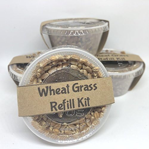 Non-GMO Wheat Grass Seeds | Coir Coconut Soil | Bulk Refill