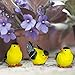 BANBERRY DESIGNS Goldfinch Bird Figurines Hand-Painted - Set of 3 – Includes 3 Poses - Decorative - Polystone - Garden & Home Accents - 3