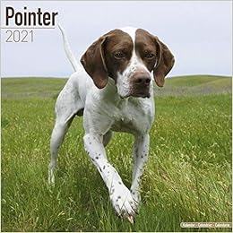 English Pointer Calendar Dog Breed Calendars 2020 2021 Wall Calendars 16 Month By Avonside Megacalendars 9781785809118 Amazon Com Books