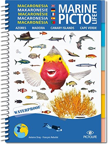 Pictolife Makaronesien Amazon De Bucher