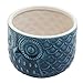 MyGift 5 Inch Whimsical Ceramic Succulent Cactus Herb Planter Pot with Textured Owl Face Design and Blue Glossy Finish