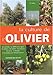 La culture de l'Olivier by