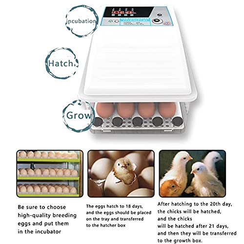 FHISD Brutkästen für Bruteier Brutkästen für Wachteleier Eierbrutkasten LED Candler Ente Geflügel zum Schlüpfen von… – Bild 8