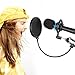 Microphone Pop Filter for Studio Condenser Microphone Mic Round Shape Wind Screen Mask Shield Mount Gooseneck with Stand Clip kit (6 inch) by Eastshining