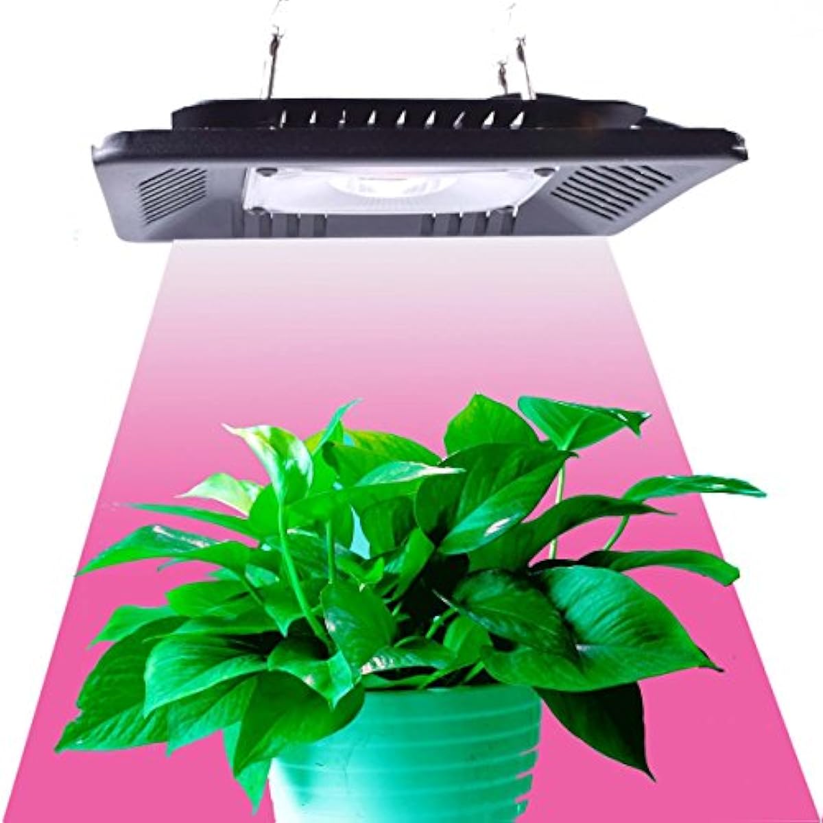 Full Spectrum LED Grow Light 1000 Watt/1200W for Indoor ...