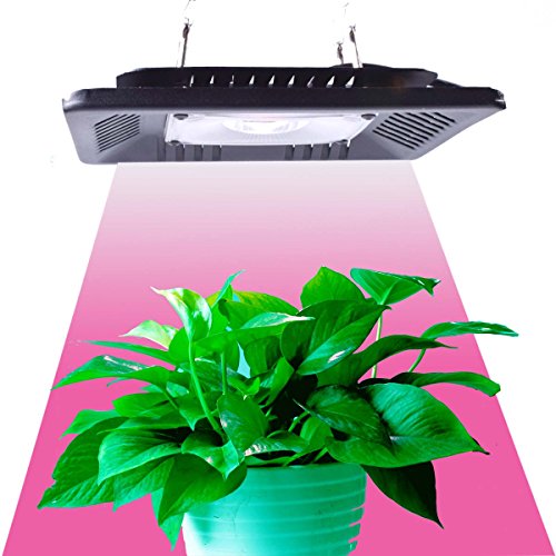 100W LED Grow Light,Full Spectrum COB Grow Lights for Plant Veg and Flowering Replace HPS (T-100W)