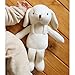 Organic Cotton Baby First Friend  ( Lovely Puppy )