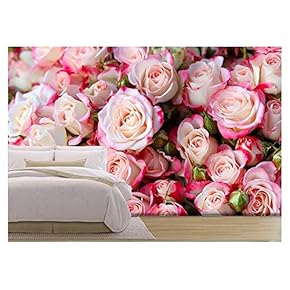 BRAND_NAMERoses Background Premium