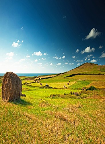 Laeacco Vinyl Thin Backdrop,Shooting Portraits 5X7FT Photography Background,Blue Sky Farm Rural Scenery Haystack 1.5(W)x2.2(H)m Backdrop for Video Photo Studio Props