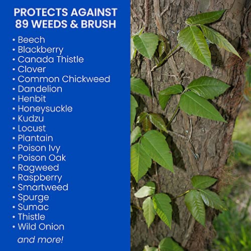 BioAdvanced 704630D Brush Killer Plus Kills Tough Vines, Poison Ivy