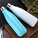 My Collection Insulated Double Wall Vacuum Stainless Steel Water Bottle, 17 oz, Cola Shaped (black)