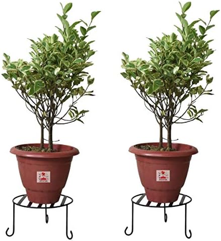Erbanize 23 cm Iron Plant Stand/Planter Stand/Flower Pot Stand/Plant Holder, for Home, Office, Balcony, Living Room. Set of 02 Pcs