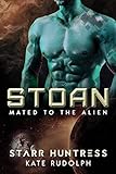 Bargain eBook - Stoan