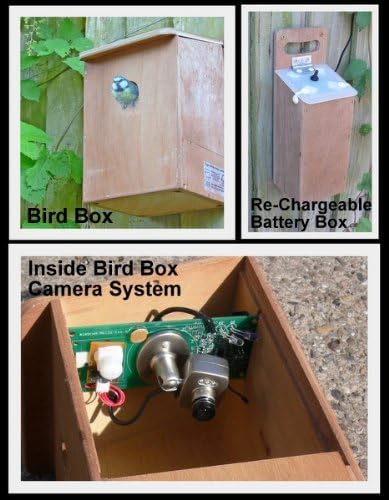 Wireless Bird Nest Box Camera with rechargeable Battery Box: Amazon.co