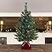 Best Choice Products 26in Multifunctional Cordless Pre-Lit Tabletop Artificial Fir Christmas Tree w/ 35 Warm White and Multicolor LED Lights, 5 Light Functions, Timer, Battery Box, Green