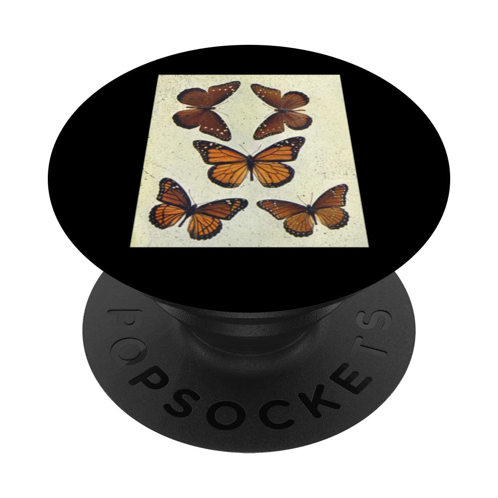 Vintage Butterfly Print “5 Butterflies” Anosia & Basilarchia PopSockets Swappable PopGrip